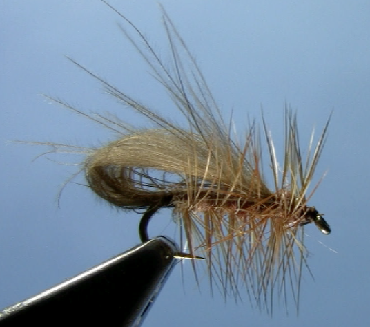cdc bubble wing caddis fly