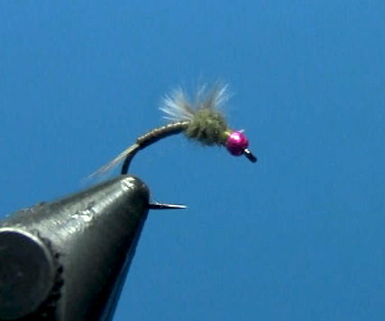 dave's soft backed baetis nymph dave's soft backed baetis nymph