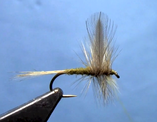 Blue Winged Olive Dry Fly Fly Tying Video