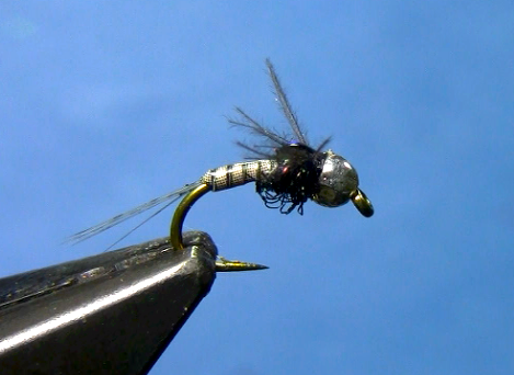 Quill Body Nymph Fly Tying Video