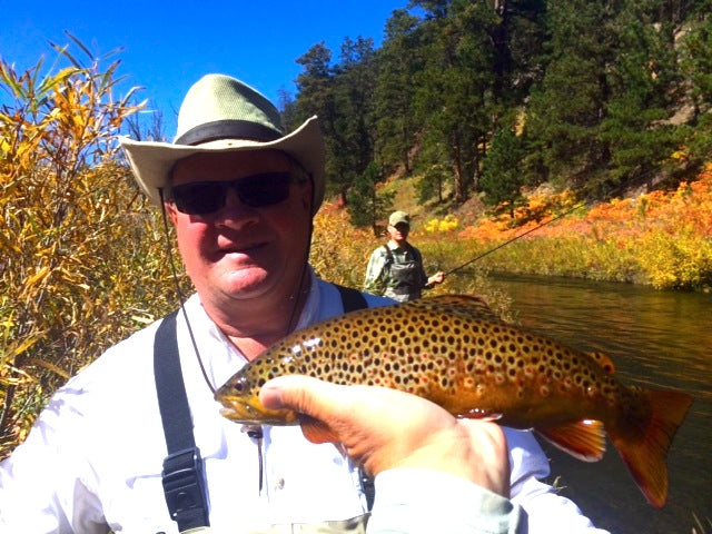 fall brown trout fishing black hills south dakota
