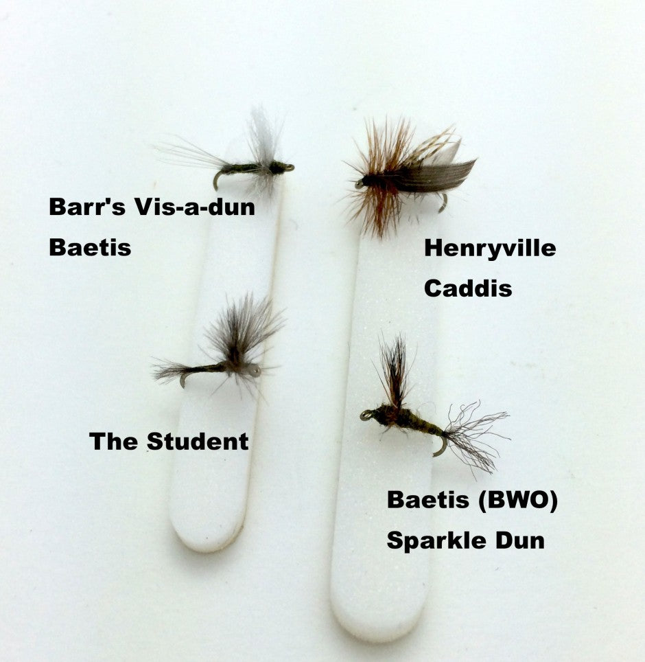 dry flies for spring black hills fly fishing
