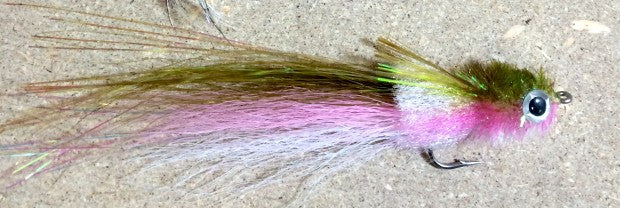 murdich minnow rainbow bass pike fly fishing