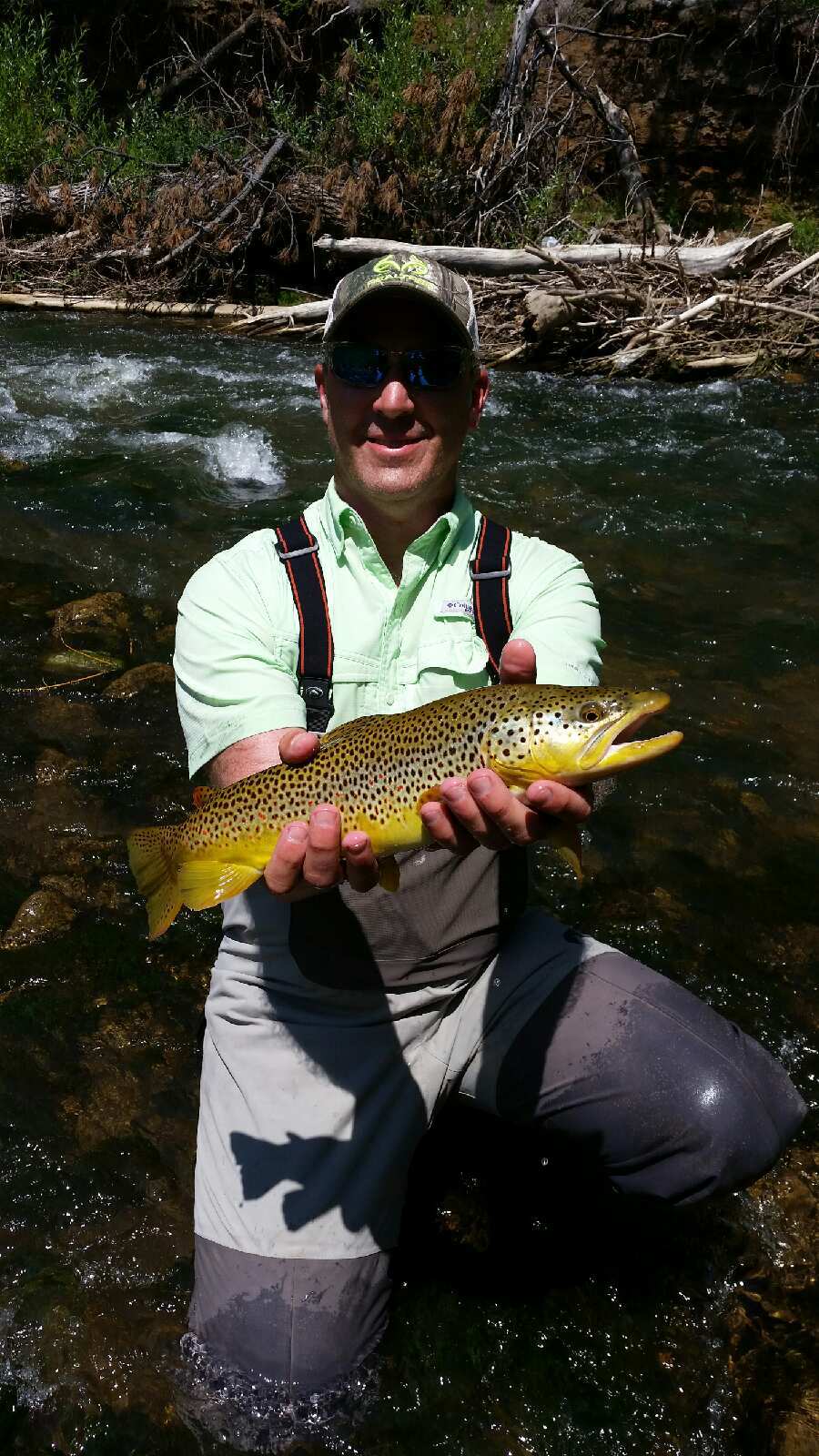 black hills fly fishing 2015 trout Dakota Angler & Outfitter Black
