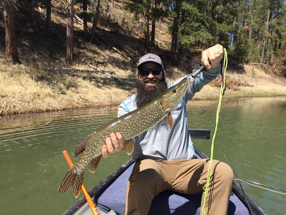 Karl with a solid Pactola Pike