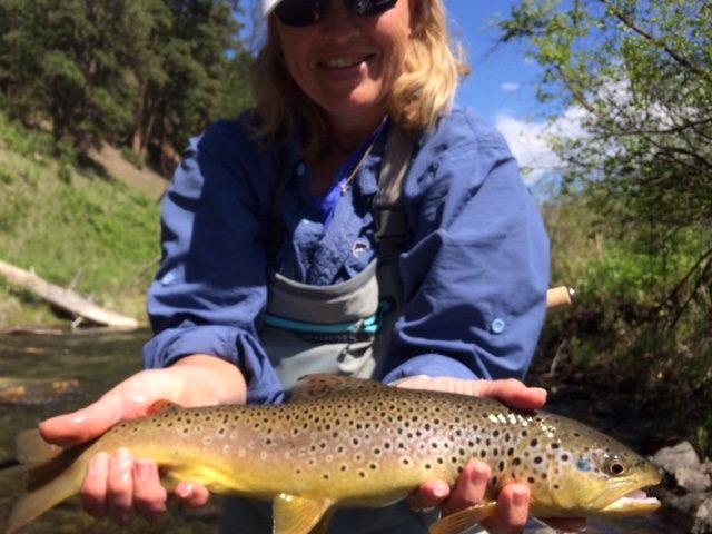 Black Hills Trout Fishing Guided Trips